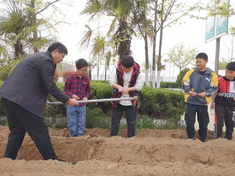 感受劳作  收获快乐 ——记马陵山镇陈楼小学春笋种植园劳动实践活动